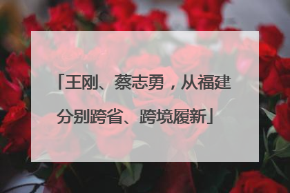 王刚、蔡志勇，从福建分别跨省、跨境履新