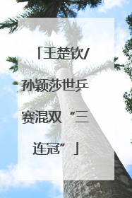王楚钦/孙颖莎世乒赛混双“三连冠”