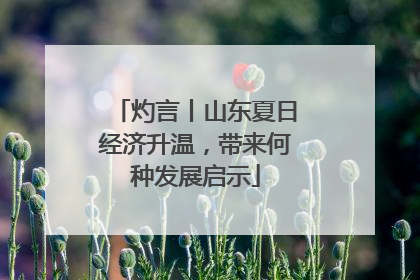 灼言丨山东夏日经济升温，带来何种发展启示