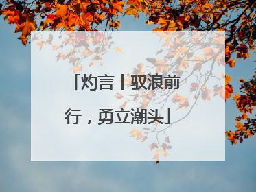 灼言丨驭浪前行，勇立潮头