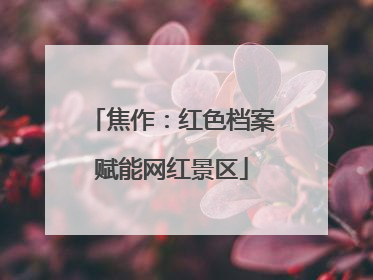 焦作：红色档案赋能网红景区