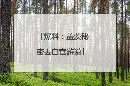 爆料：盖茨秘密去白宫游说