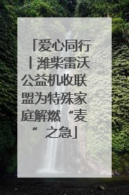 爱心同行丨潍柴雷沃公益机收联盟为特殊家庭解燃“麦”之急