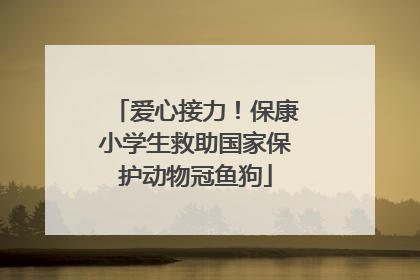 爱心接力！保康小学生救助国家保护动物冠鱼狗