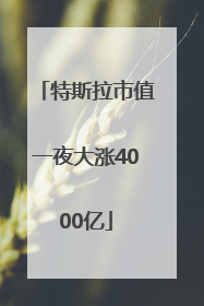 特斯拉市值一夜大涨4000亿