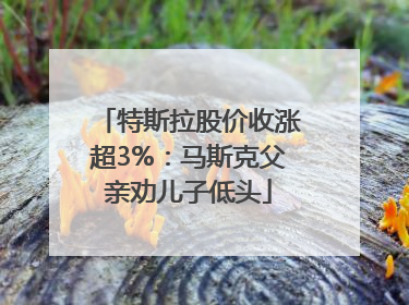 特斯拉股价收涨超3%：马斯克父亲劝儿子低头