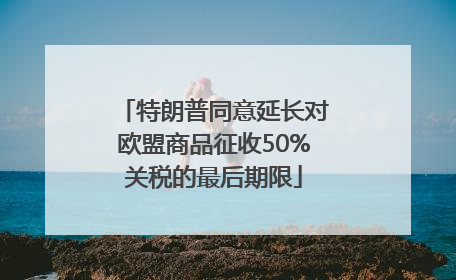 特朗普同意延长对欧盟商品征收50%关税的最后期限