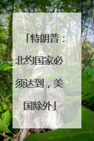 特朗普：北约国家必须达到，美国除外