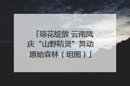 琼花绽放 云南凤庆“山野精灵”舞动原始森林（组图）