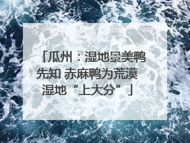 瓜州：湿地景美鸭先知 赤麻鸭为荒漠湿地“上大分”