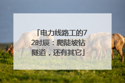 电力线路工的72时辰：爬陡坡钻隧道，还有其它