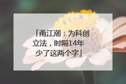 甬江潮：为科创立法，时隔14年少了这两个字