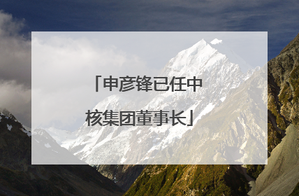 申彦锋已任中核集团董事长