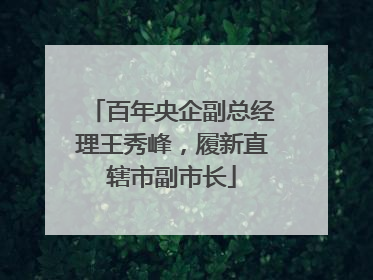 百年央企副总经理王秀峰，履新直辖市副市长
