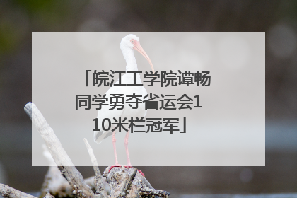 皖江工学院谭畅同学勇夺省运会110米栏冠军