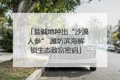 盐碱地种出“沙漠人参” 潍坊滨海解锁生态致富密码