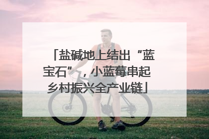 盐碱地上结出“蓝宝石”，小蓝莓串起乡村振兴全产业链
