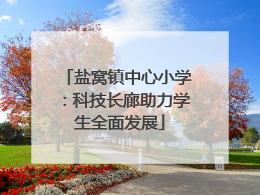 盐窝镇中心小学：科技长廊助力学生全面发展