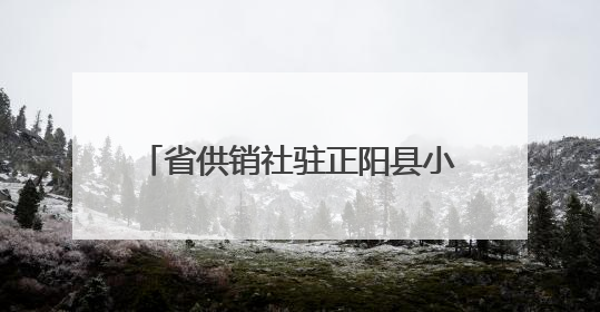省供销社驻正阳县小陈村工作队 助力“三夏”护航丰收之路
