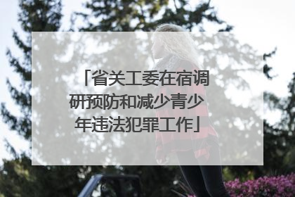 省关工委在宿调研预防和减少青少年违法犯罪工作