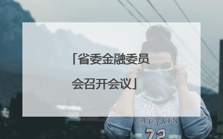 省委金融委员会召开会议