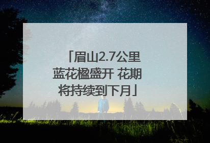 眉山2.7公里蓝花楹盛开 花期将持续到下月