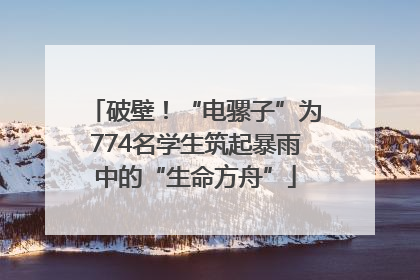 破壁！“电骡子”为774名学生筑起暴雨中的“生命方舟”