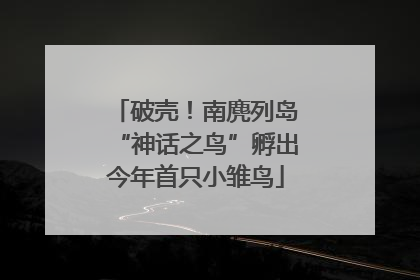 破壳！南麂列岛“神话之鸟”孵出今年首只小雏鸟