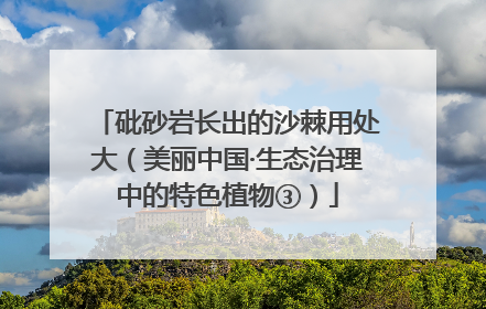 砒砂岩长出的沙棘用处大（美丽中国·生态治理中的特色植物③）