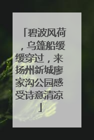碧波风荷，乌篷船缓缓穿过，来扬州新城廖家沟公园感受诗意清凉
