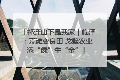 祁连山下是我家｜临泽：荒滩变良田 戈壁农业添“绿”生“金”