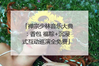 禅宗少林音乐大典：香包 福粽+沉浸式互动巡演全免费