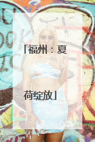福州：夏荷绽放