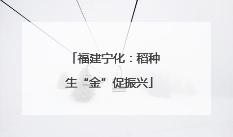 福建宁化：稻种生“金”促振兴