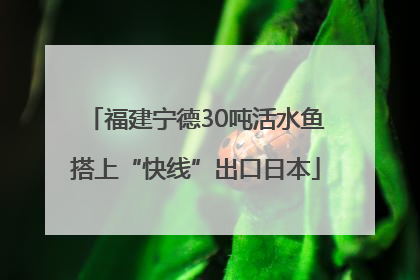 福建宁德30吨活水鱼搭上“快线”出口日本