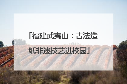 福建武夷山：古法造纸非遗技艺进校园
