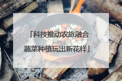 科技推动农旅融合 蔬菜种植玩出新花样