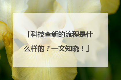 科技查新的流程是什么样的？一文知晓！