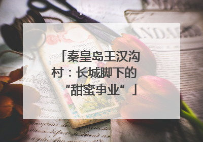 秦皇岛王汉沟村：长城脚下的“甜蜜事业”