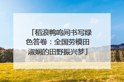 稻浪鸭鸣间书写绿色答卷：全国劳模田淑娴的田野振兴梦