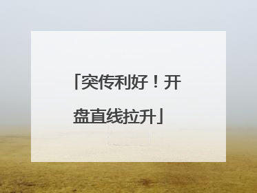 突传利好！开盘直线拉升