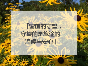 窗前的守望，守望的是旅途的温暖与安心