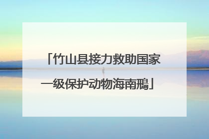 竹山县接力救助国家一级保护动物海南鳽