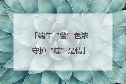 端午“警”色浓 守护“粽”是情