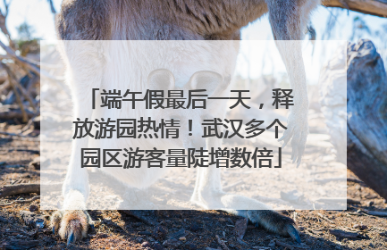 端午假最后一天，释放游园热情！武汉多个园区游客量陡增数倍