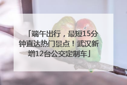 端午出行，最短15分钟直达热门景点！武汉新增12台公交定制车