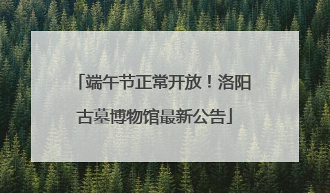 端午节正常开放！洛阳古墓博物馆最新公告