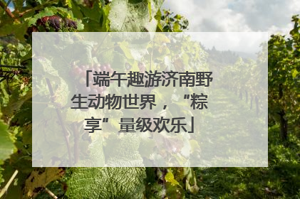 端午趣游济南野生动物世界，“粽享”量级欢乐
