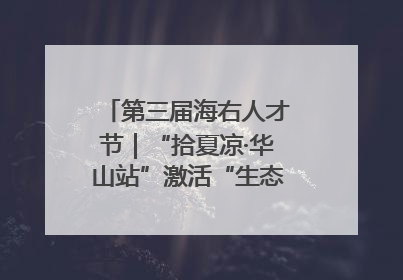 第三届海右人才节｜“拾夏凉·华山站”激活“生态聚才”强磁场