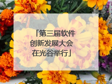 第三届软件创新发展大会在光谷举行